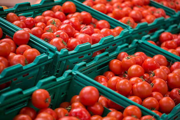 Tomatoes